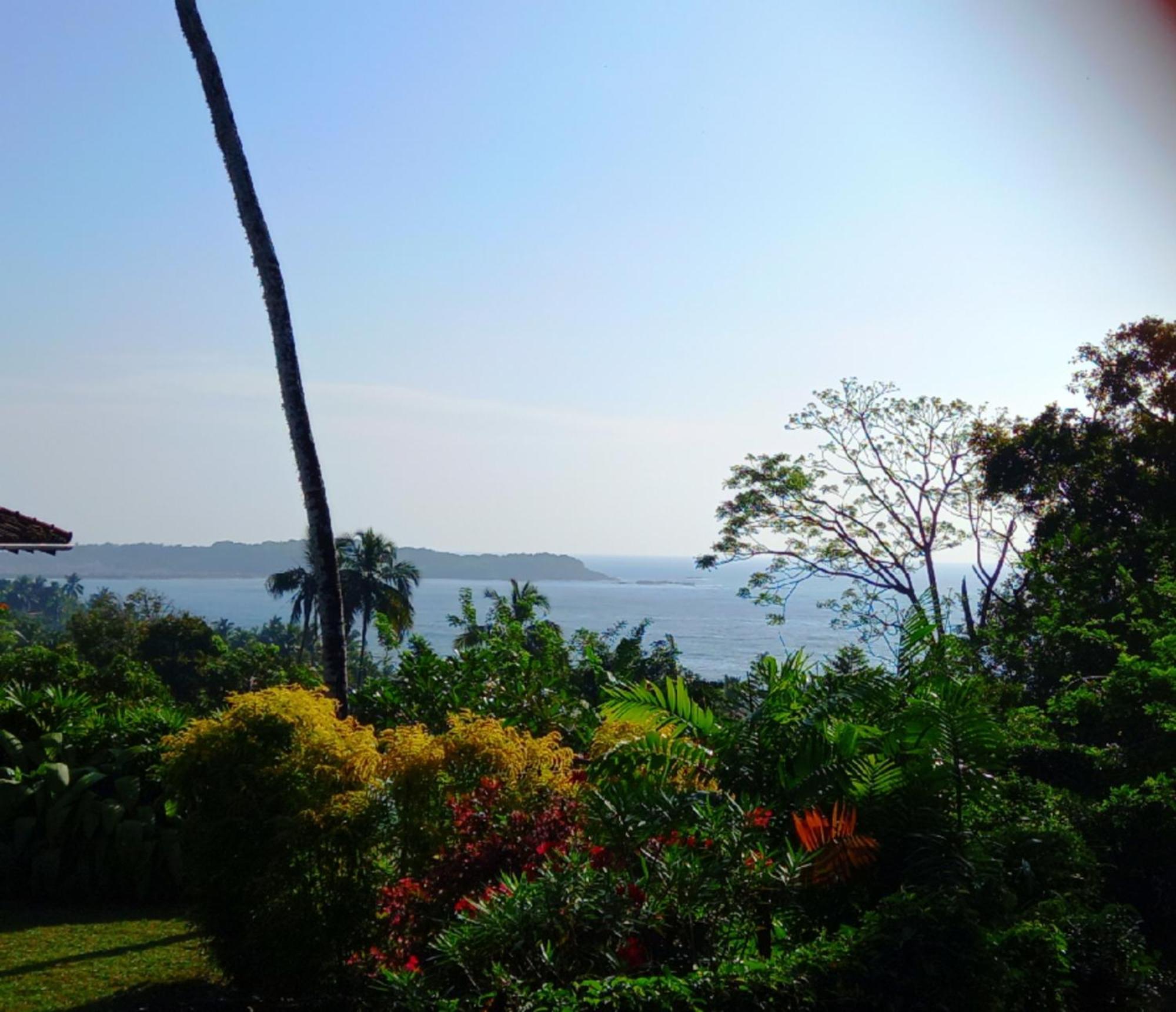 Villa Blue Ocean Tree House Hiriketiya à Dikwella Extérieur photo