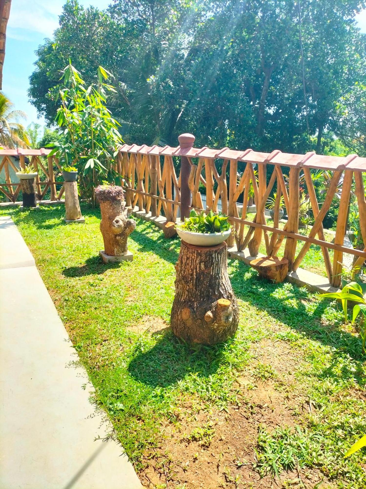 Villa Blue Ocean Tree House Hiriketiya à Dikwella Extérieur photo